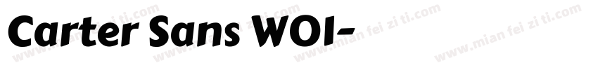 Carter Sans W01字体转换